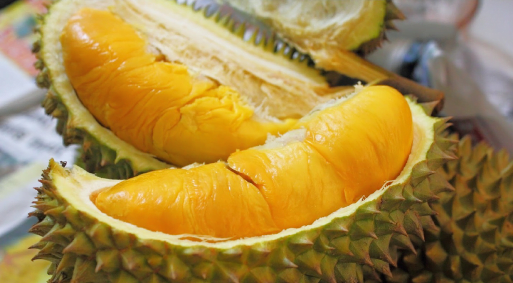 king of fruit, durian