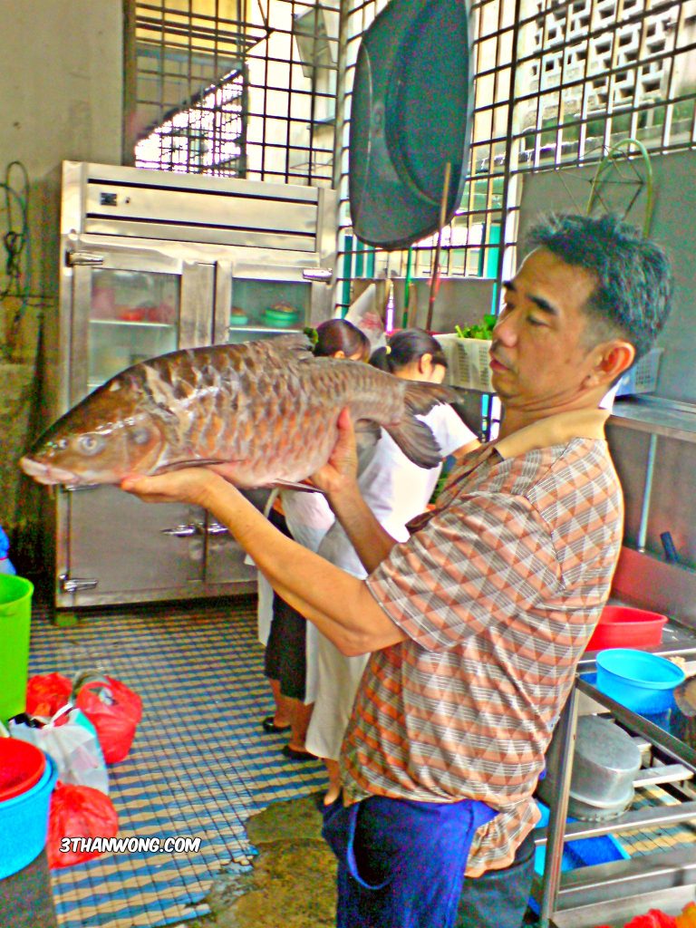 Empurau Fish