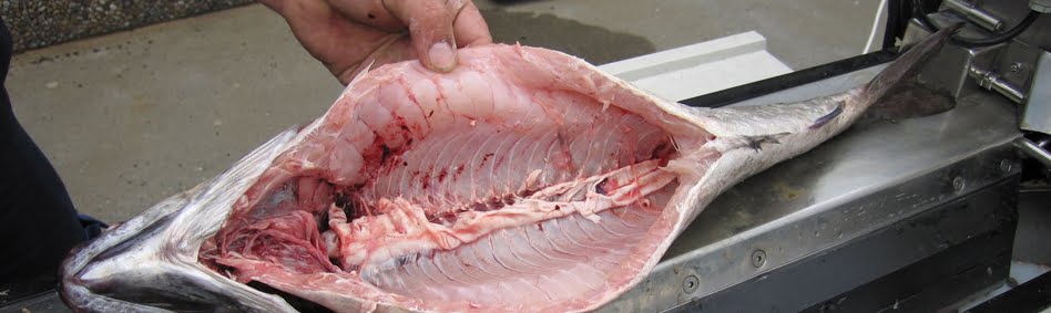 how to gut a fish