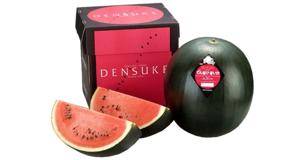 Densuke Black Watermelon