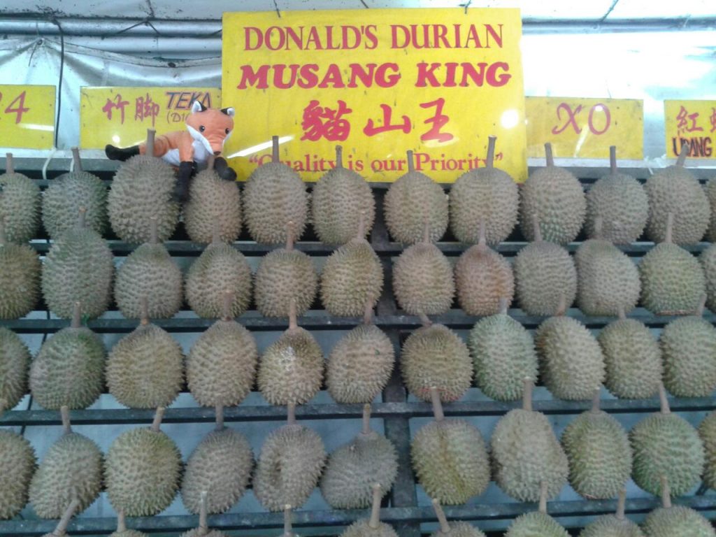 donald durian