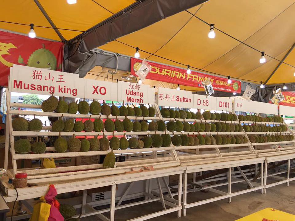durian family