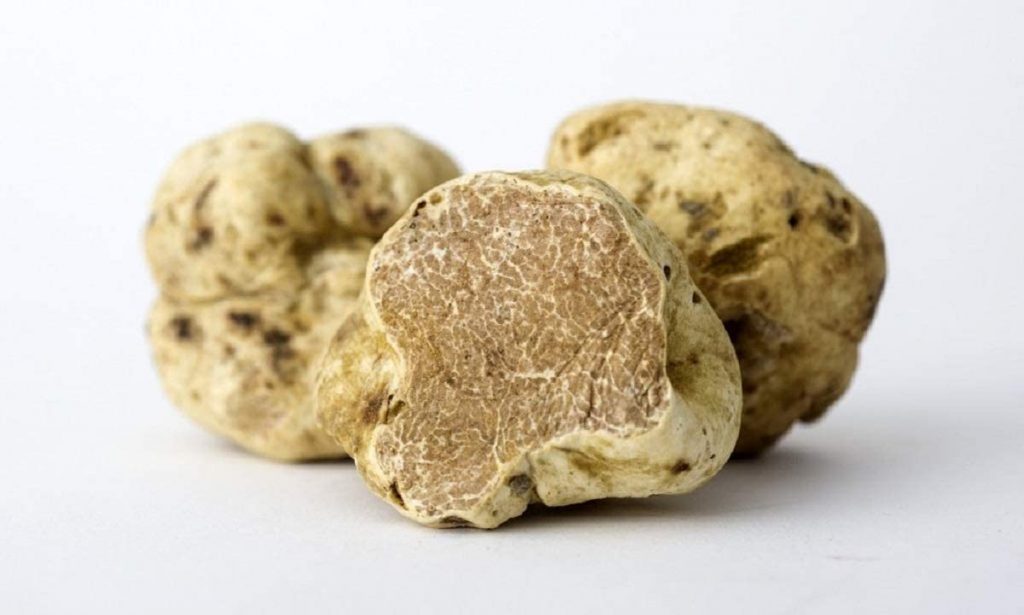 white alba truffle